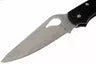 Spyderco Byrd Cara Cara 2 pocket knife BY03PBK2