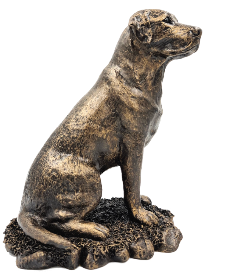 Patina Bronze sculpture Sitting Labrador