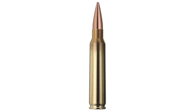 Geco .223 Target Hollow Point 52gr