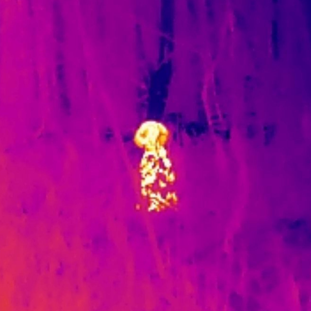 HIKMICRO EXPLORER E20 Smartphone Clip-In Thermal Imager for Android