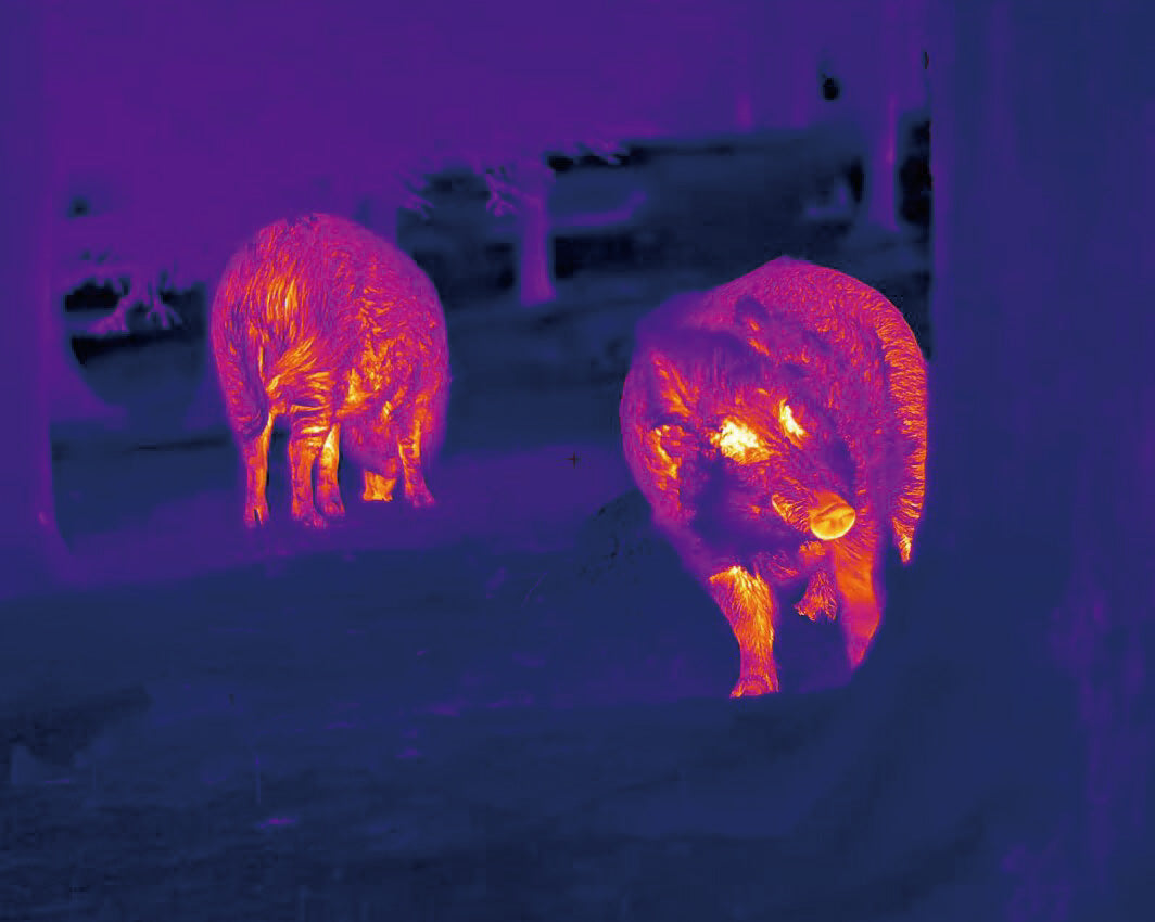 LUMI L35R THERMAL MONOCULAR