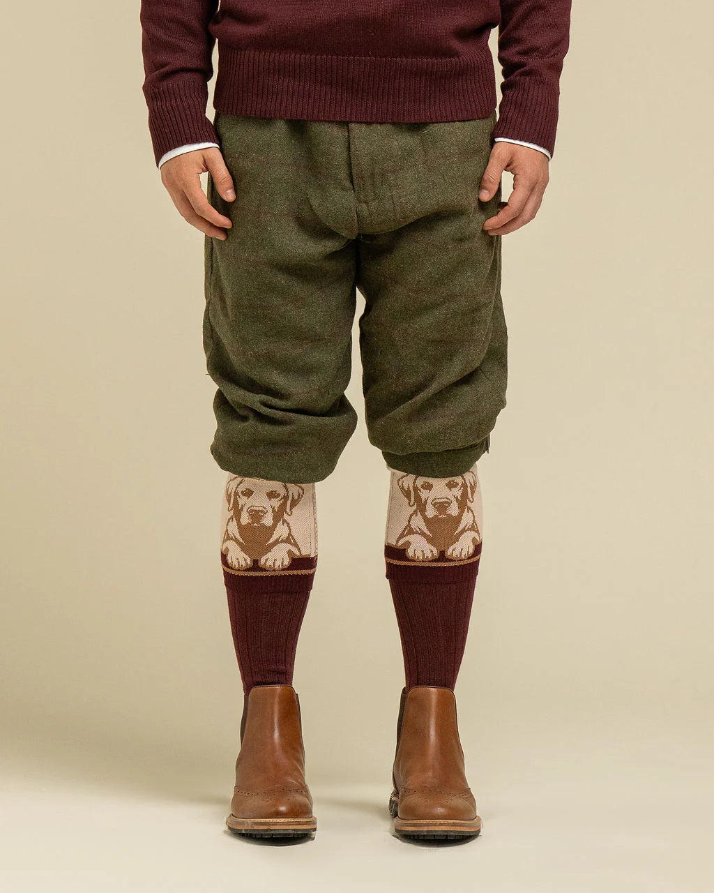 Waring Brooke Loyal Labrador Socks Yellow