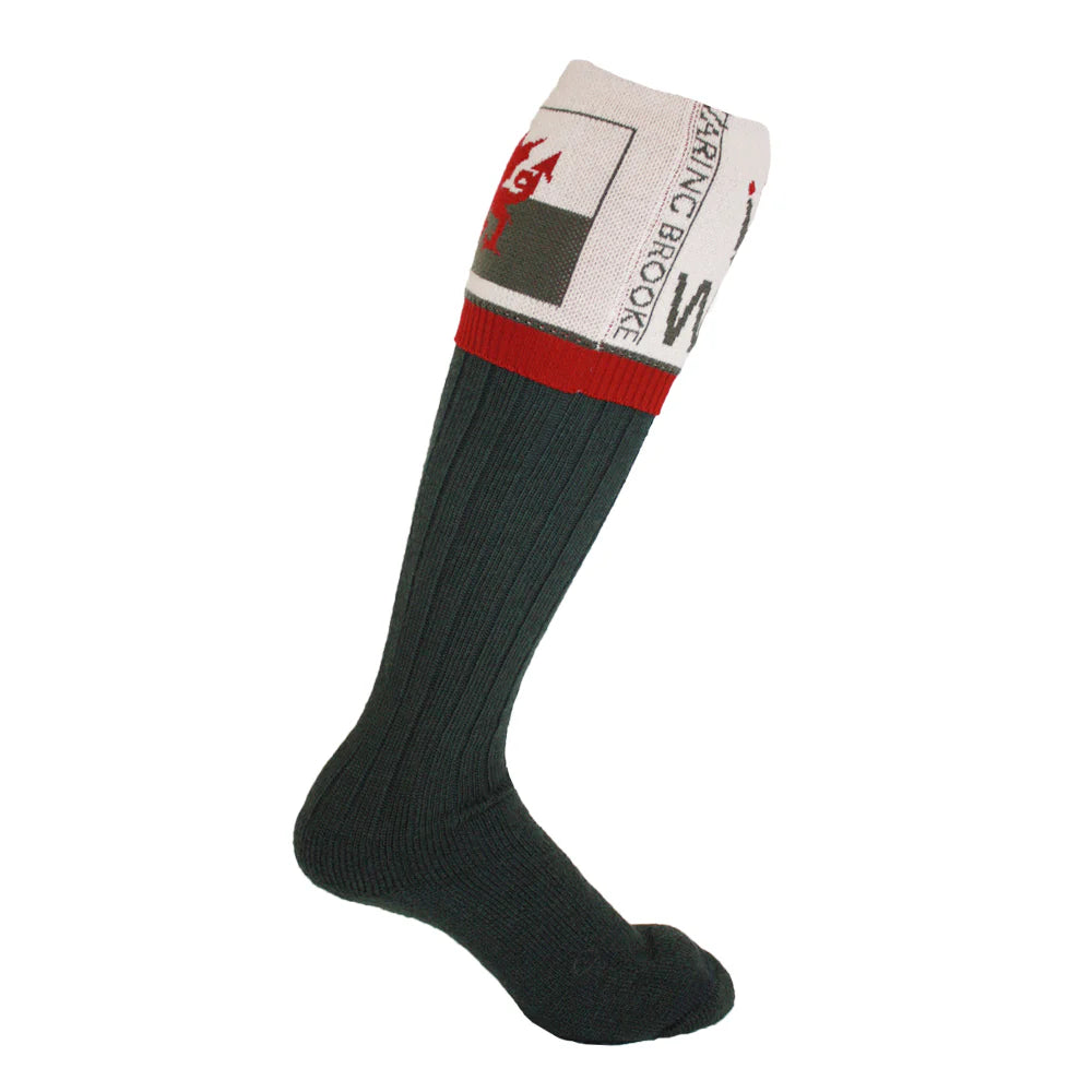 Waring Brooke Flag of Wales Shooting Socks